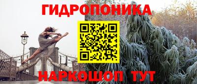 стафф Старая Купавна
